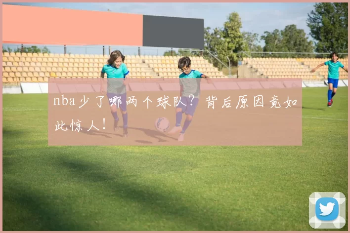 nba少了哪两个球队?背后原因竟如此惊人!