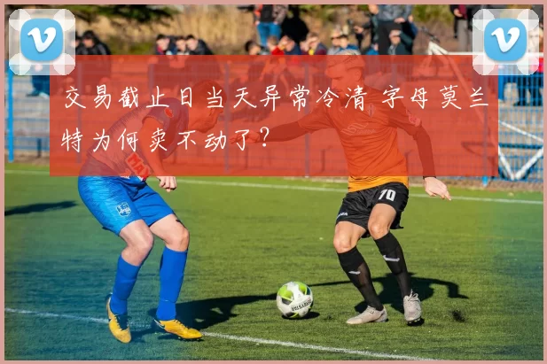 交易截止日当天异常冷清 字母莫兰特为何卖不动了？