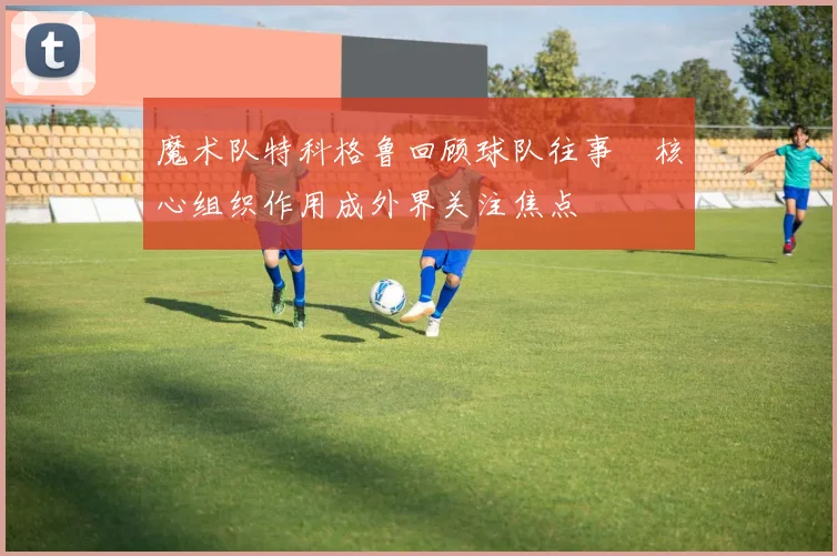 魔术队特科格鲁回顾球队往事　核心组织作用成外界关注焦点