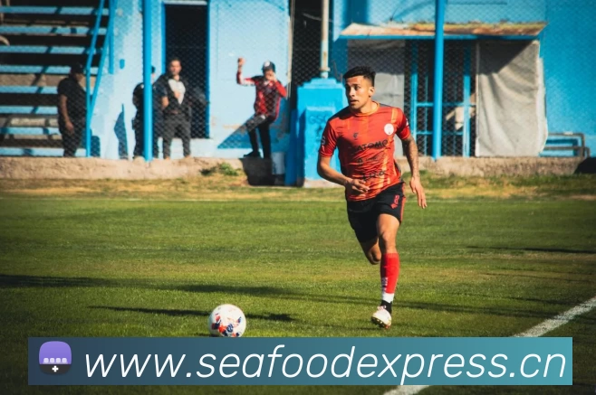 kaiyun开云官方在线登录平台生态图