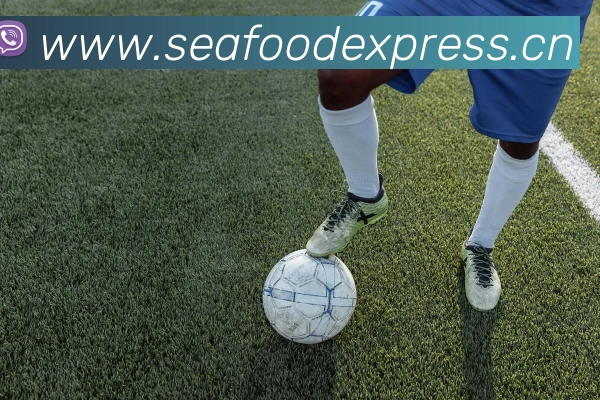 kaiyun开云官方在线登录全站App